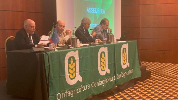 confagricoltura campania fabrizio marzano confermato alla guida