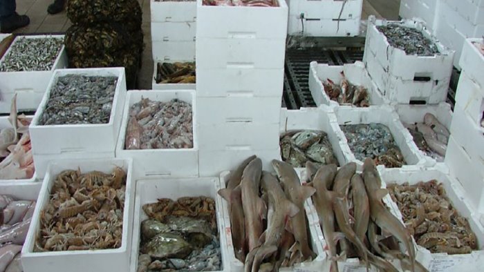 pozzuoli al bando cassette in polistirolo per il pesce arrivano i chip