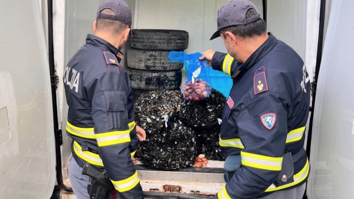 cozze e vongole mal conservate sequestrate in a16 dannose per la salute