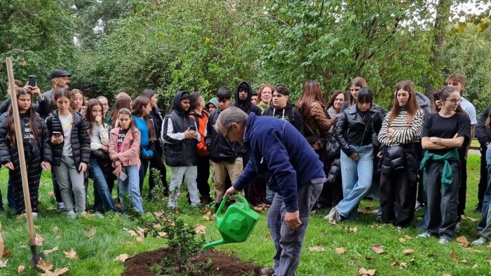 all orto botanico della federico ii il mirto in ricordo di giulia cecchettin