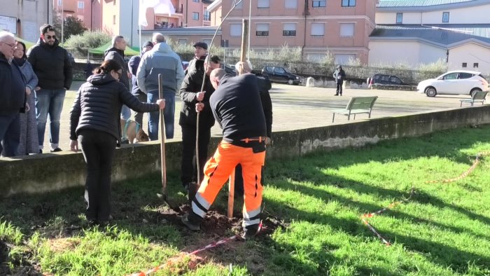 ambiente e cura del verde i 5 stelle piantano nuovi alberi ad avellino