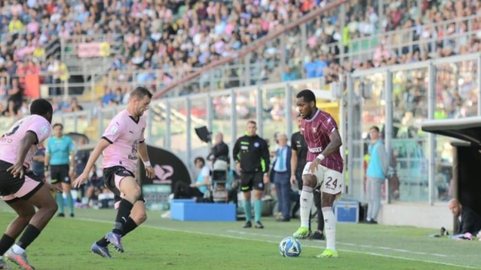 salernitana bari le probabili formazioni in attacco due novita