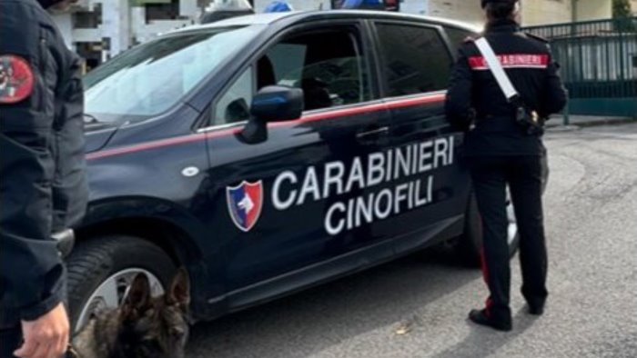 salerno controlli antidroga davanti agli istituti scolastici della citta