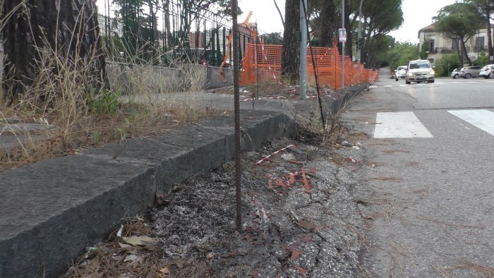 test stabilita alberi nel fine settimana a pacevecchia e sul viale atlantici