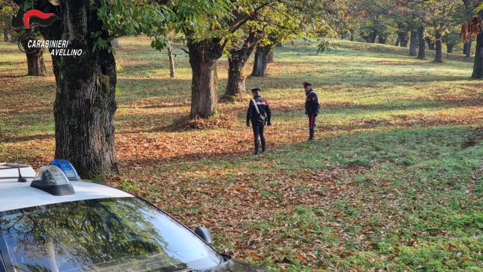 controlli ambientali carabinieri denunciano 7 persone per abbruciamenti