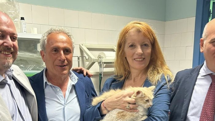 cava de tirreni d elia bene inasprimento pene per chi maltratta gli animali