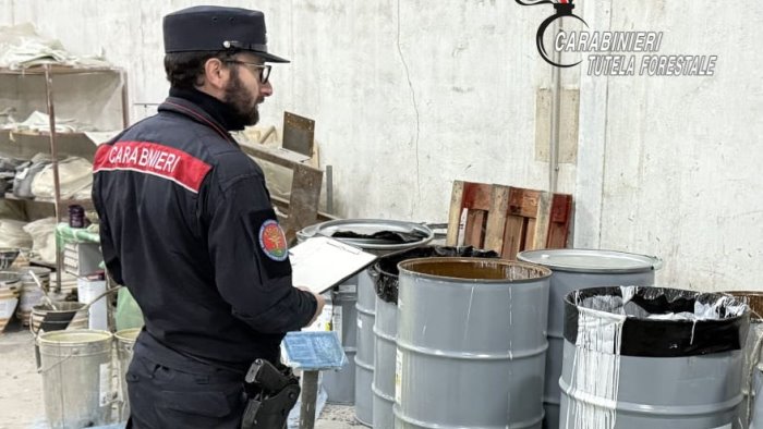 alta irpinia carabinieri forestali sequestrano un opificio