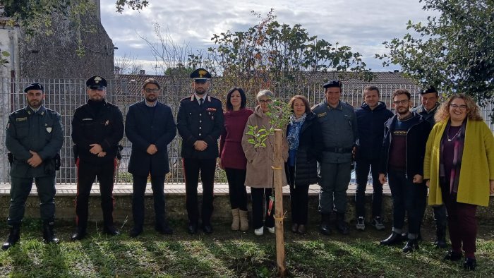 gli alunni con i carabinieri piantano un albero di mele cosi salviamo il futuro