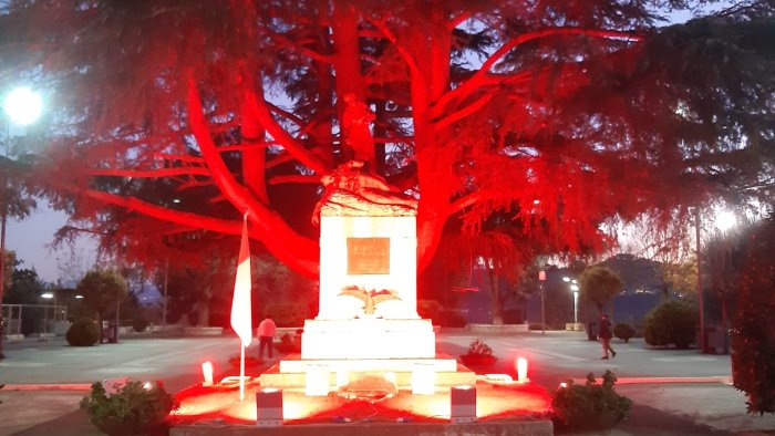 donne vittime di violenza cedro illuminato di rosso a venticano