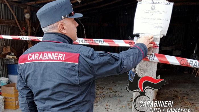 reati ambientali falegnameria sotto sequestro a serino denunciato un 40enne