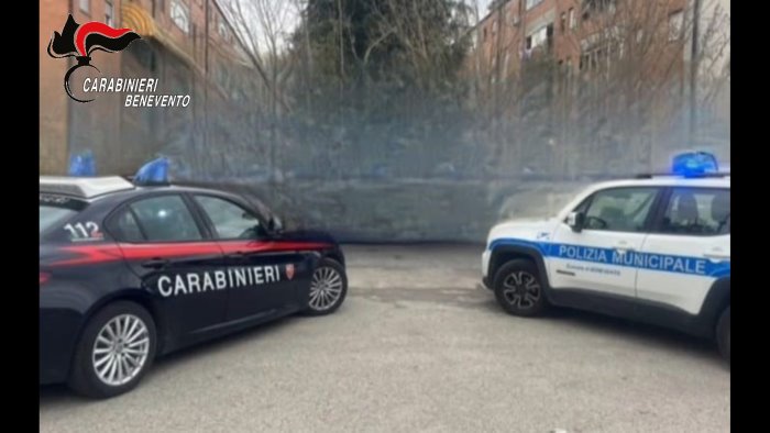 movida sicura controlli di carabinieri e polizia municipale multe e denunce