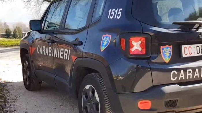 roccabascerana i carabinieri forestali denunciano un imprenditore beneventano