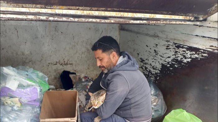 gatto nel camion dei rifiuti messo in salvo dagli operatori di salerno pulita