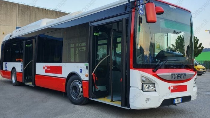 salerno autobus ancora nel mirino atto vandalico in piazza ad ogliara