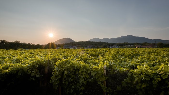 la comunita di castelvenere celebra la festa del ringraziamento