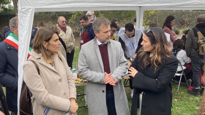 pompei si cambia accesso limitato agli scavi della citta sepolta dal vesuvio