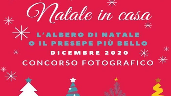 sassano al via il concorso fotografico il natale in casa