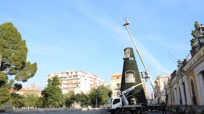 angri prende forma il grande albero in piazza doria