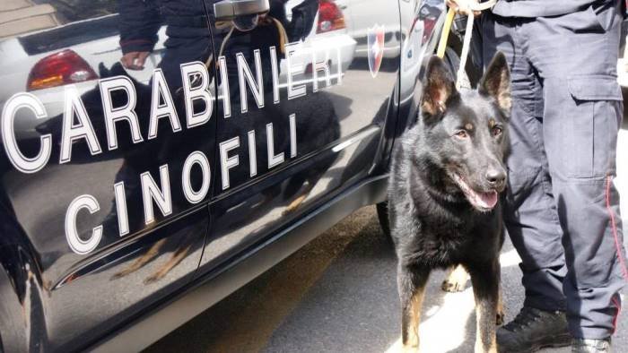 ercolano smantellata una piazza di spaccio 2 arresti