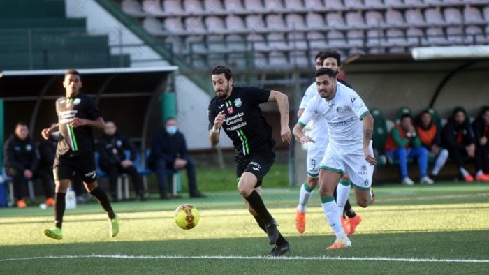 bari avellino convocati e probabile formazione dei lupi