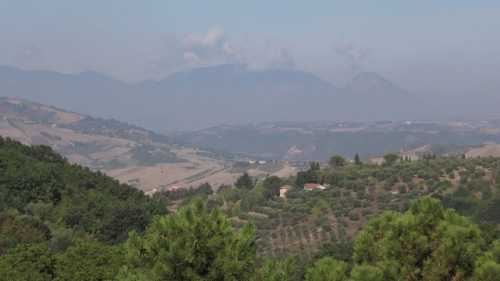 agricoltura arriva la buona notizia di natale