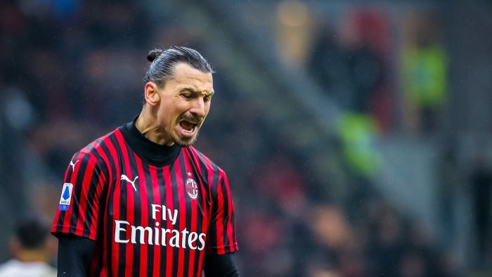 amadeus annuncia ibrahimovic ospite fisso a sanremo