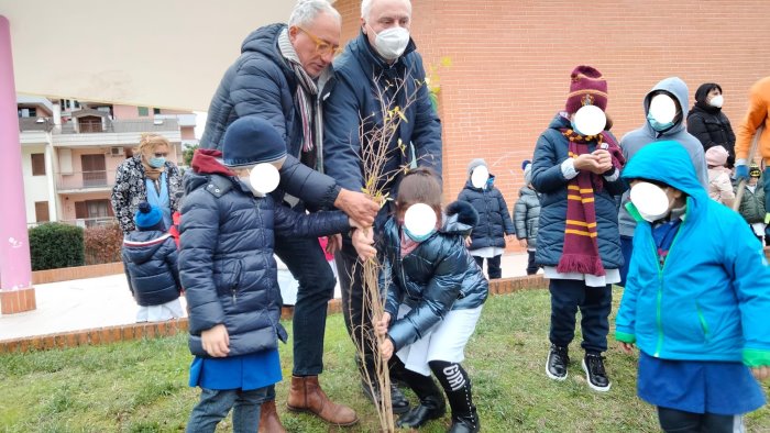 baronissi nuovi piccoli alberi nel giardino della scuola san francesco