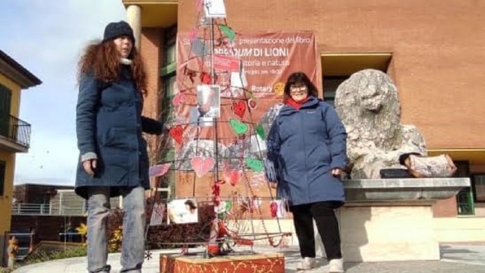 lioni un albero di natale contro la violenza di genere