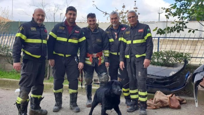 labrador cade nel fiume salvato dai vigili del fuoco