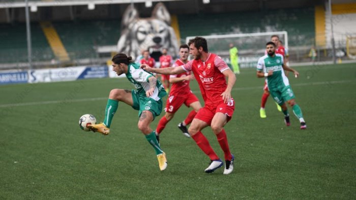 avellino plescia in uscita prestito per il rilancio immediato