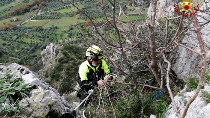 caggiano cane salvato dai vigili del fuoco con un elicottero