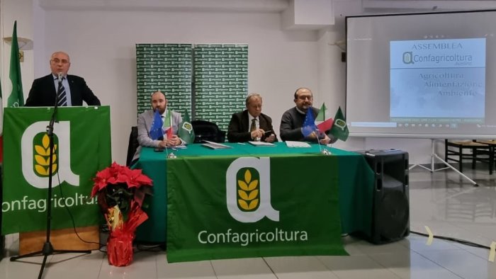 assemblea confagricoltura avellino frattolillo riconfermato presidente