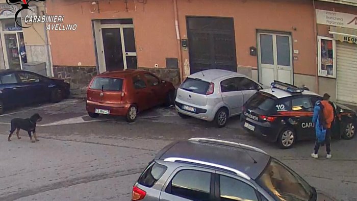 aizza un cane di grossa taglia contro i carabinieri processato per direttissima