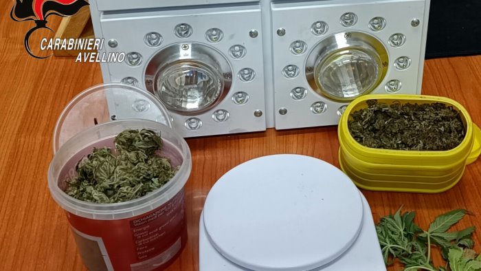 avellino in casa con 400 grammi di marijuana arrestato 47enne