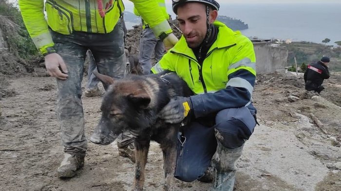 eugenio il volontario che ha trovato l ultima vittima ho fatto luce eri tu