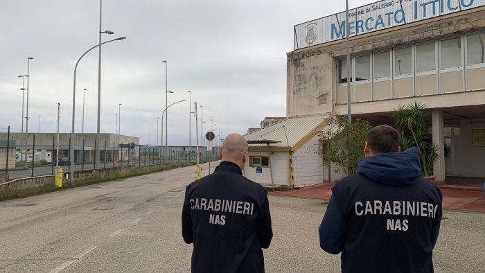 blitz dei nas al mercato ittico di salerno evidenziate diverse irregolarita