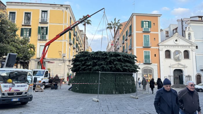 salerno iniziato il montaggio del mega albero di natale in piazza portanova