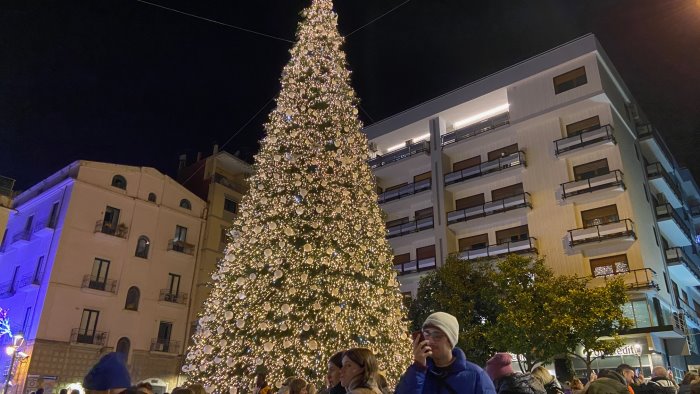 a salerno acceso il grande albero di natale in piazza portanova