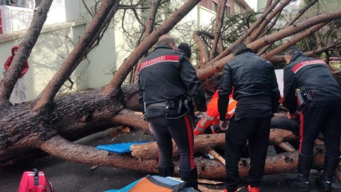 schiacciato da un albero all universita eboli prega per carmine