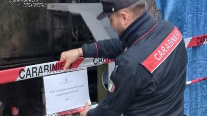 blitz dei carabinieri forestali a solofra denunciato 50enne