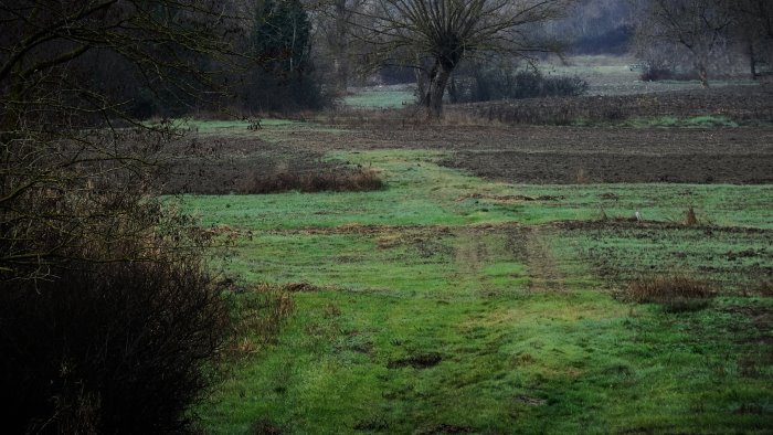 piccoli esploratori per un territorio pulito il fascino del metal detecting