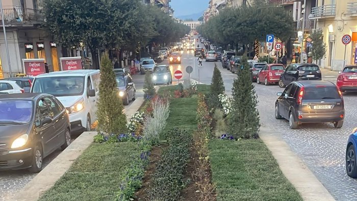 da fontana a maxi fioriera in 3 giorni ecco il nuovo volto di piazza bissolati