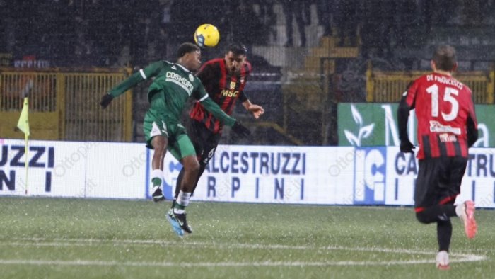 avellino ecco giorni e orari delle gare fino alla trentaduesima giornata