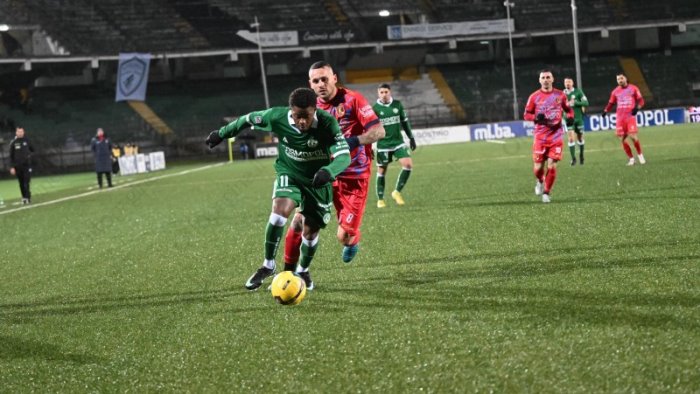 avellino picerno 1 0 tabellino e voti dei lupi