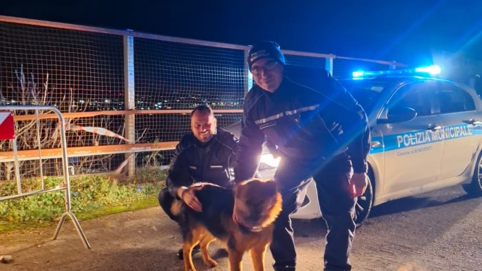 pastori tedeschi si allontanano da casa e restano impigliati recuperati