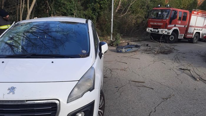 cadono due alberi uno si abbatte su una macchina ferita una bimba