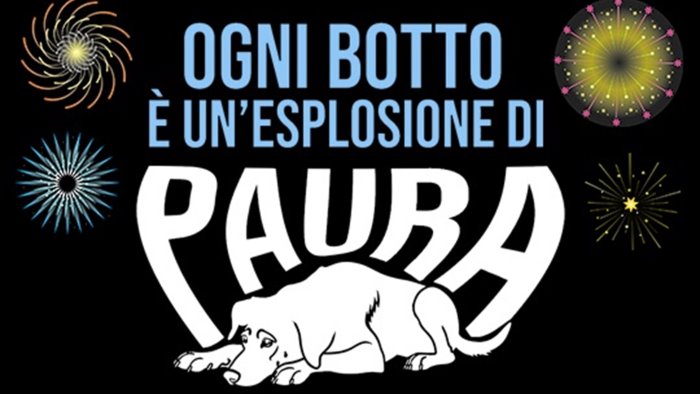 capodanno ecco come proteggere gli animali dai botti