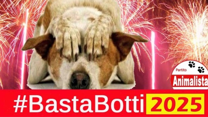 botti capodanno partito animalista pronto a denuciare tutti gli abusi