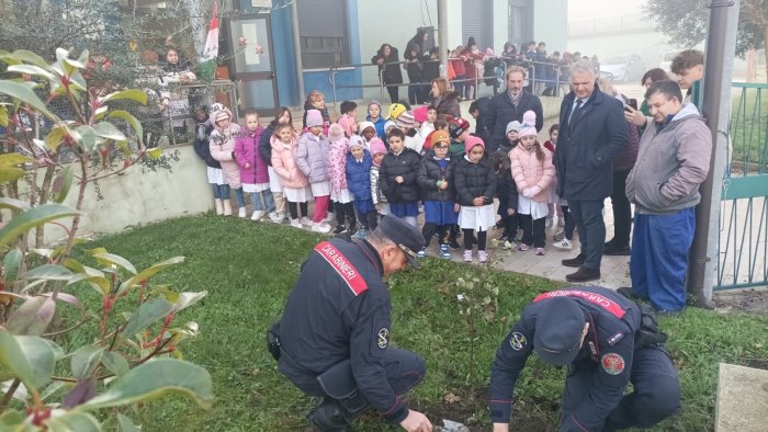 giornata dell albero alla scuola primaria di beltiglio