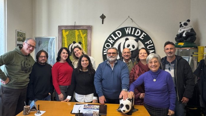 wwf caserta eletti il nuovo presidente e vice